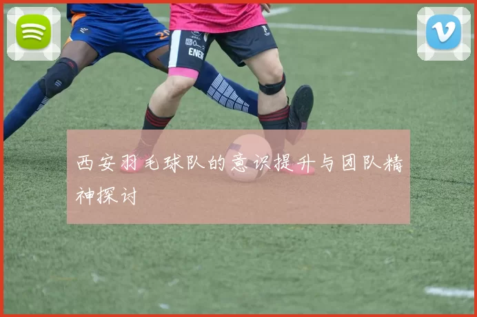西安羽毛球队的意识提升与团队精神探讨