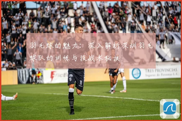 羽毛球的魅力：深入解析深圳羽毛球队的训练与技战术秘诀