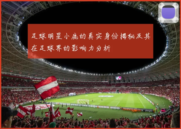足球明星小鹿的真实身份揭秘及其在足球界的影响力分析