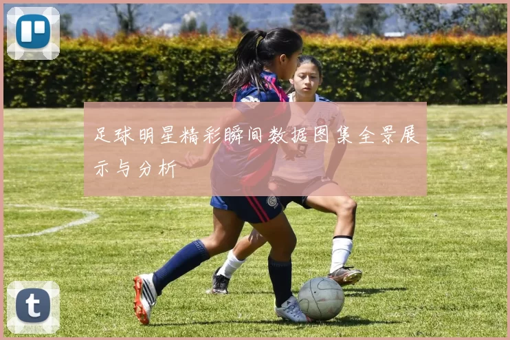 足球明星精彩瞬间数据图集全景展示与分析