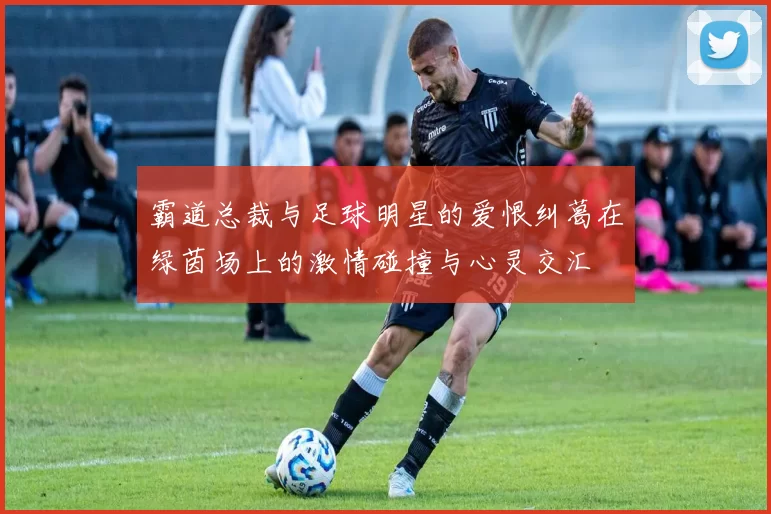 霸道总裁与足球明星的爱恨纠葛在绿茵场上的激情碰撞与心灵交汇