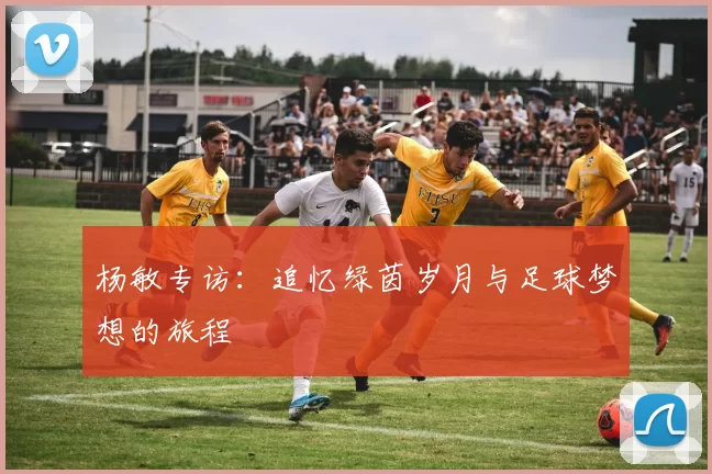 杨敏专访：追忆绿茵岁月与足球梦想的旅程