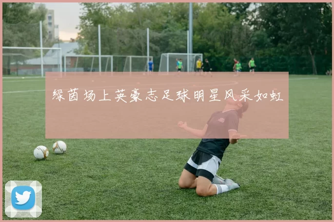 绿茵场上英豪志足球明星风采如虹