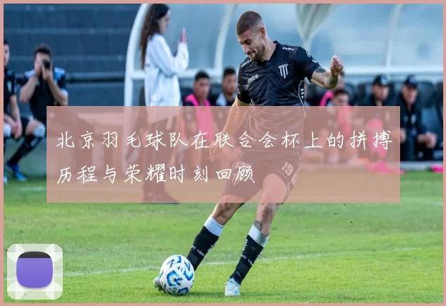 北京羽毛球队在联合会杯上的拼搏历程与荣耀时刻回顾