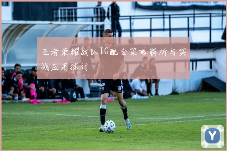 王者荣耀战队IG配合策略解析与实战应用探讨