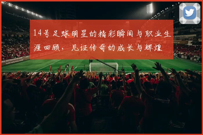 14号足球明星的精彩瞬间与职业生涯回顾，见证传奇的成长与辉煌