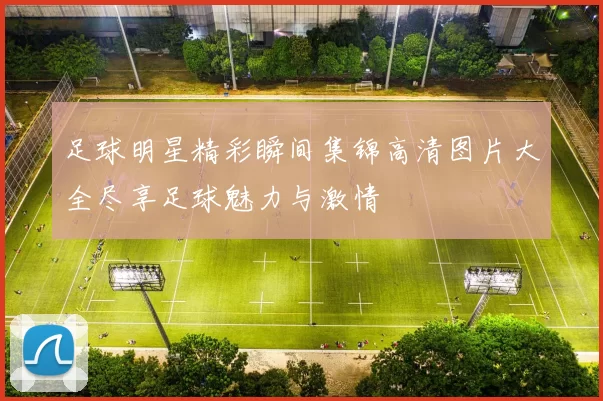 足球明星精彩瞬间集锦高清图片大全尽享足球魅力与激情