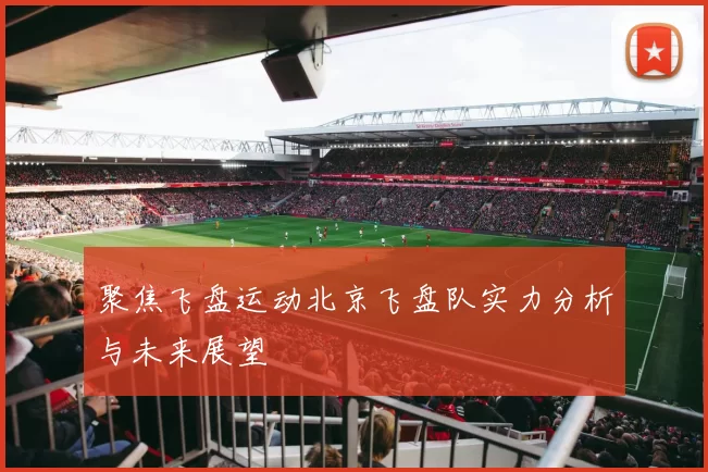 聚焦飞盘运动北京飞盘队实力分析与未来展望