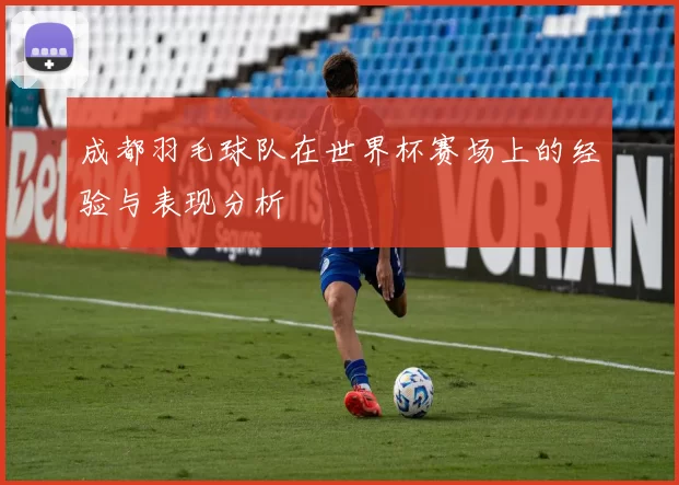 成都羽毛球队在世界杯赛场上的经验与表现分析