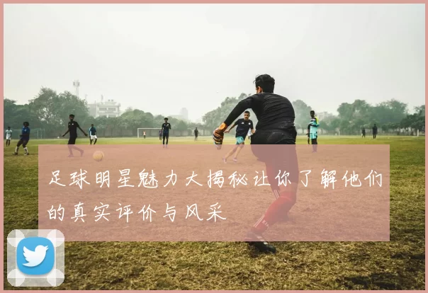 足球明星魅力大揭秘让你了解他们的真实评价与风采