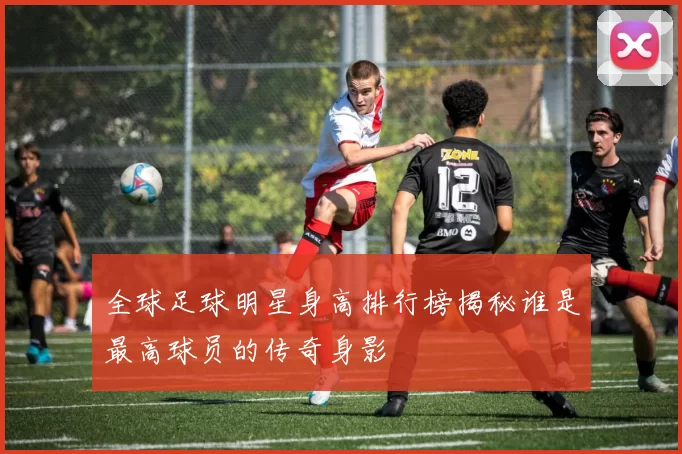 全球足球明星身高排行榜揭秘谁是最高球员的传奇身影