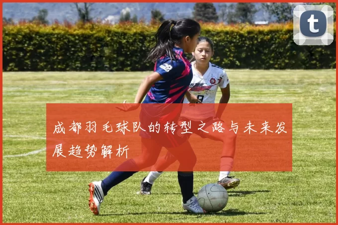 成都羽毛球队的转型之路与未来发展趋势解析