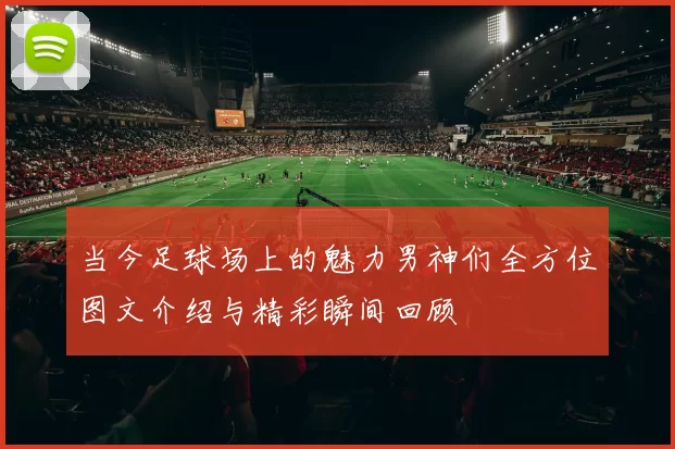 当今足球场上的魅力男神们全方位图文介绍与精彩瞬间回顾