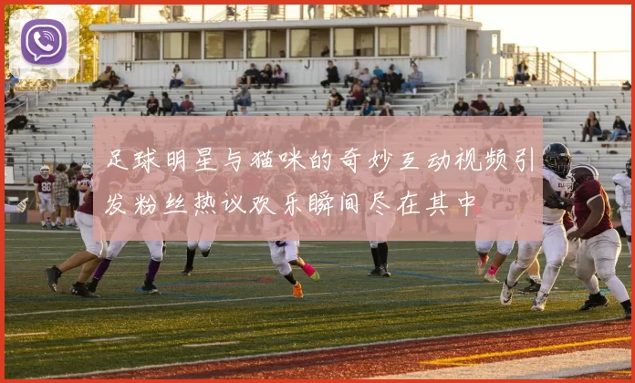 足球明星与猫咪的奇妙互动视频引发粉丝热议欢乐瞬间尽在其中