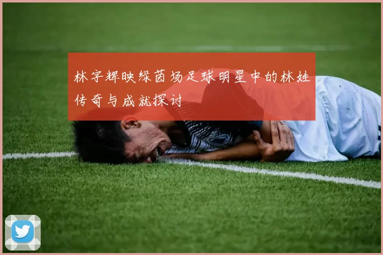 林字辉映绿茵场足球明星中的林姓传奇与成就探讨