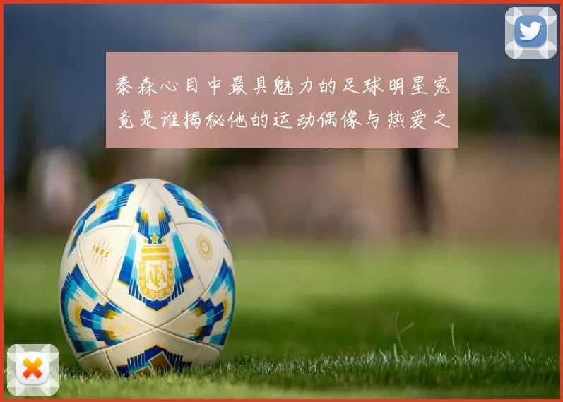 泰森心目中最具魅力的足球明星究竟是谁揭秘他的运动偶像与热爱之路